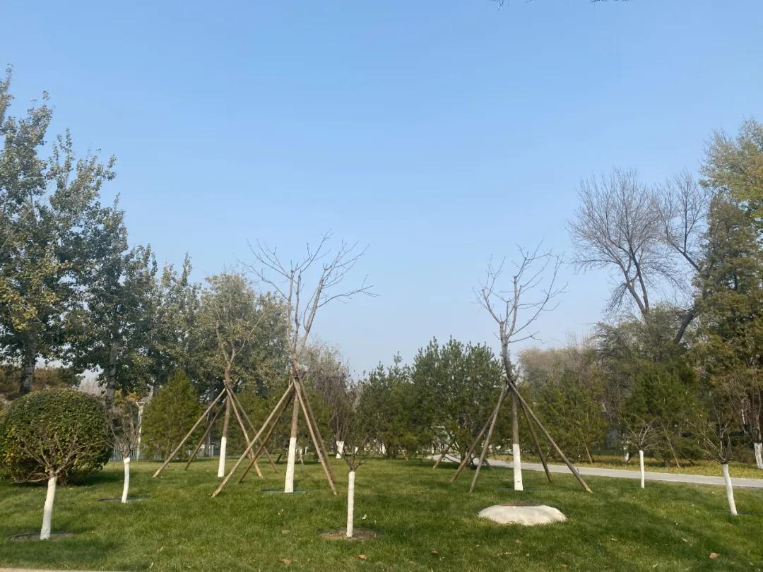 直降12万,直降2000米