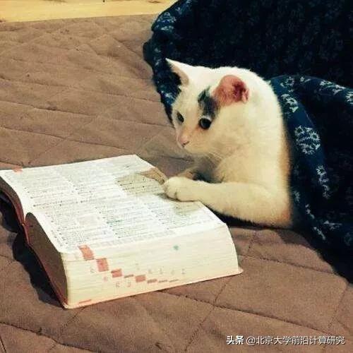 雨水|计算机科学家如何理解“学习”