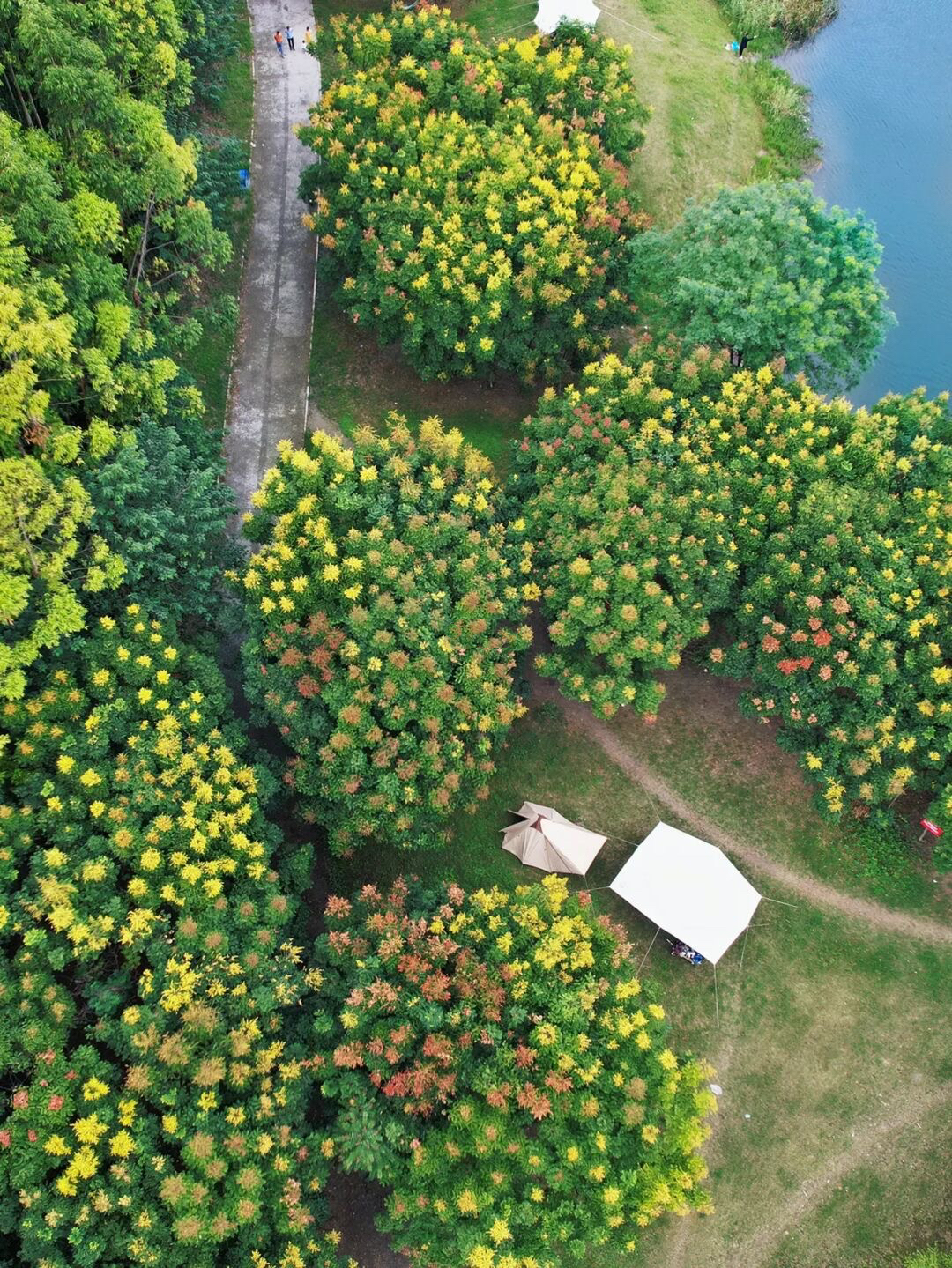 放假去哪里玩又便宜又好玩成都,假期去哪玩便宜又好玩儿成都