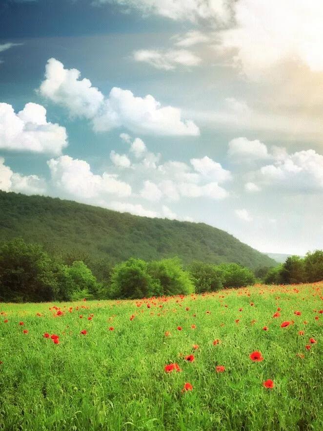 绿草自然风景图片,惊艳高清山水花草风景图片