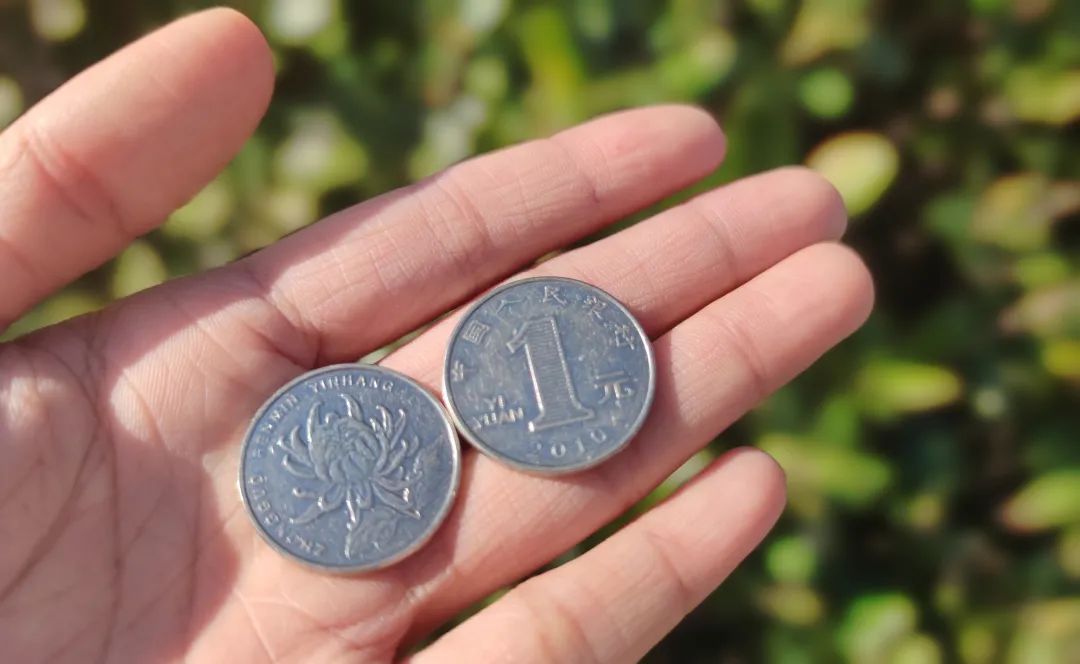 惊！在昆山，2元竟然可以做这么多事