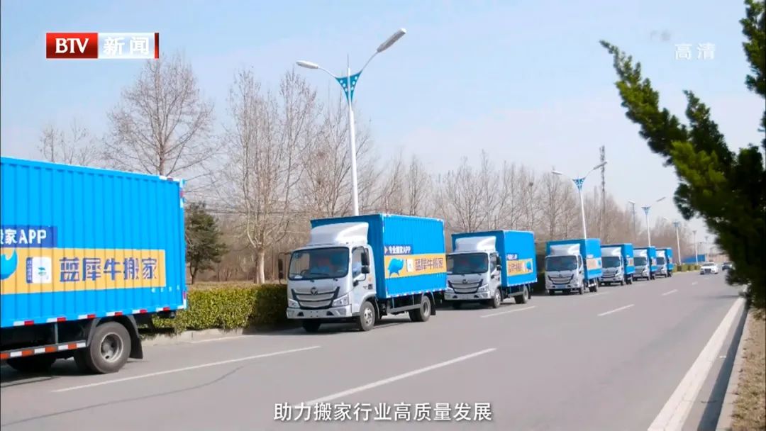 蓝犀牛搬家体验,蓝犀牛搬家要考试吗