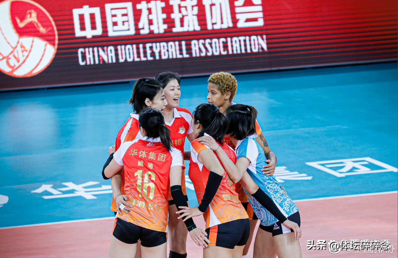 女排排超联赛最新排名表,排超联赛女排最新排名