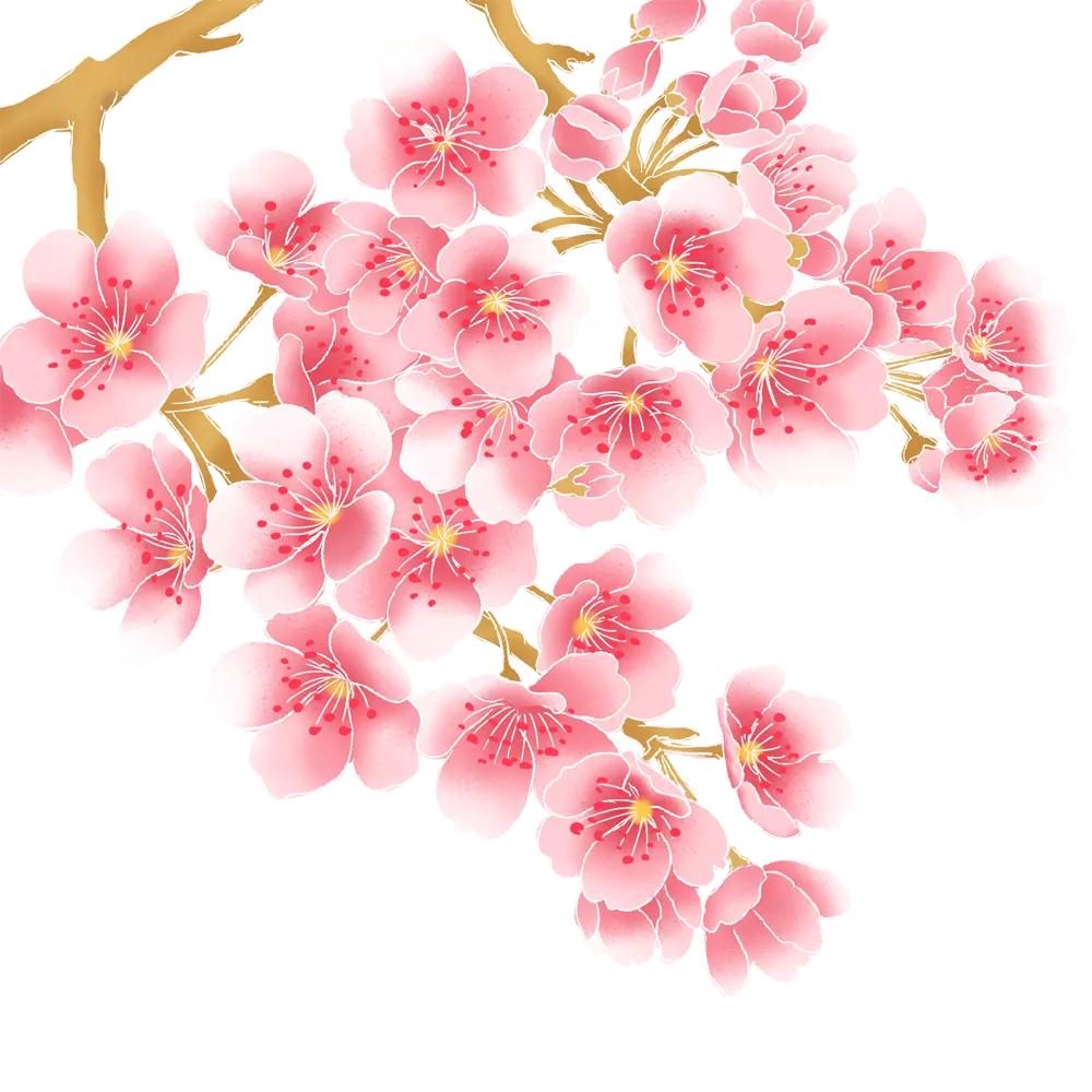 雨水哲理,雨水的好句