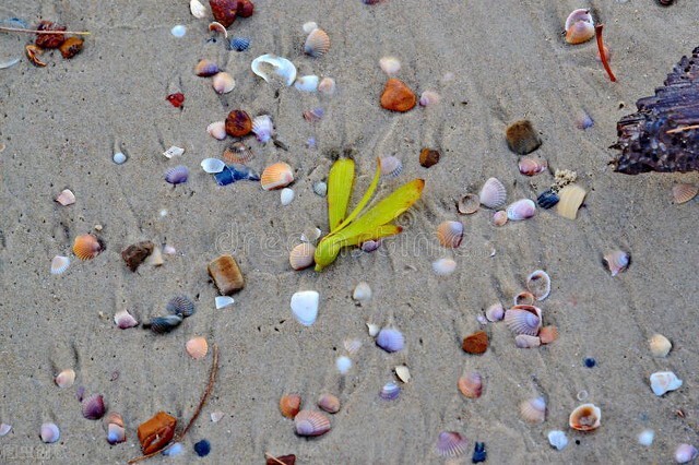 泰国一周旅游攻略必去景点,泰国一生必去的地方