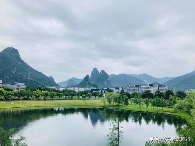 学科实力强劲,学科实力