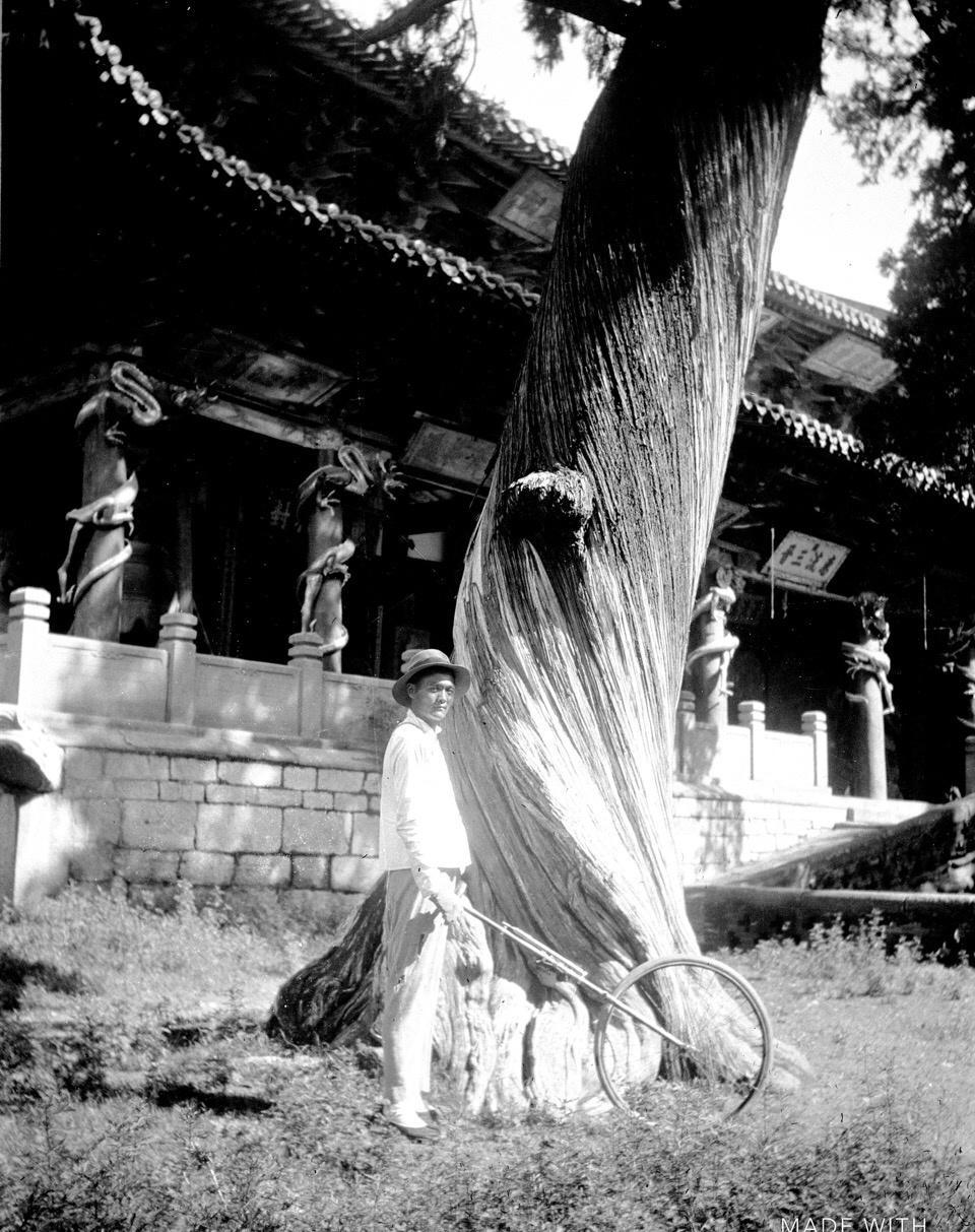 女子身着日本侵华军装露脸,女子穿日军军服拍照被抓