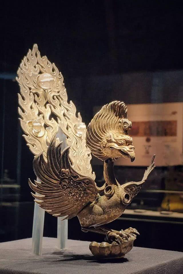 云南惊现罕见的“神仙鸟”，相传百年才出现一次，这有什么征兆？