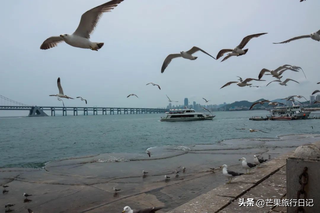 辽宁大连好吗,大连一个被低估的价值洼地