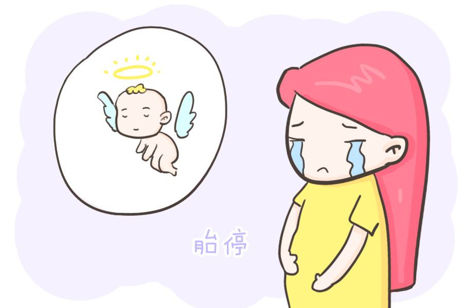 胎停育有什么预兆吗,胎停育最准的三个征兆