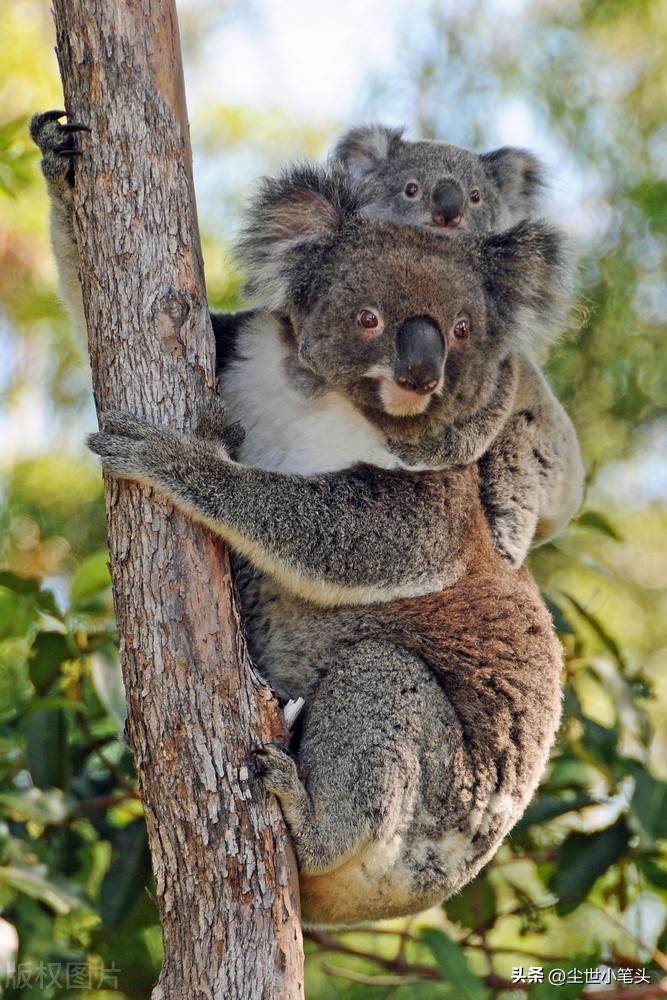 学习点《很杂很杂的杂学知识》68