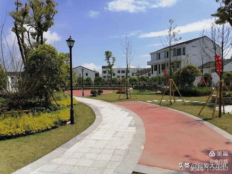 龙港市水心夜景,龙港市水心岛天气