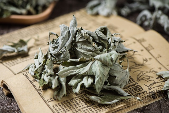 艾草可以驱蚊虫吗有效果吗,熏的艾草能驱蚊吗