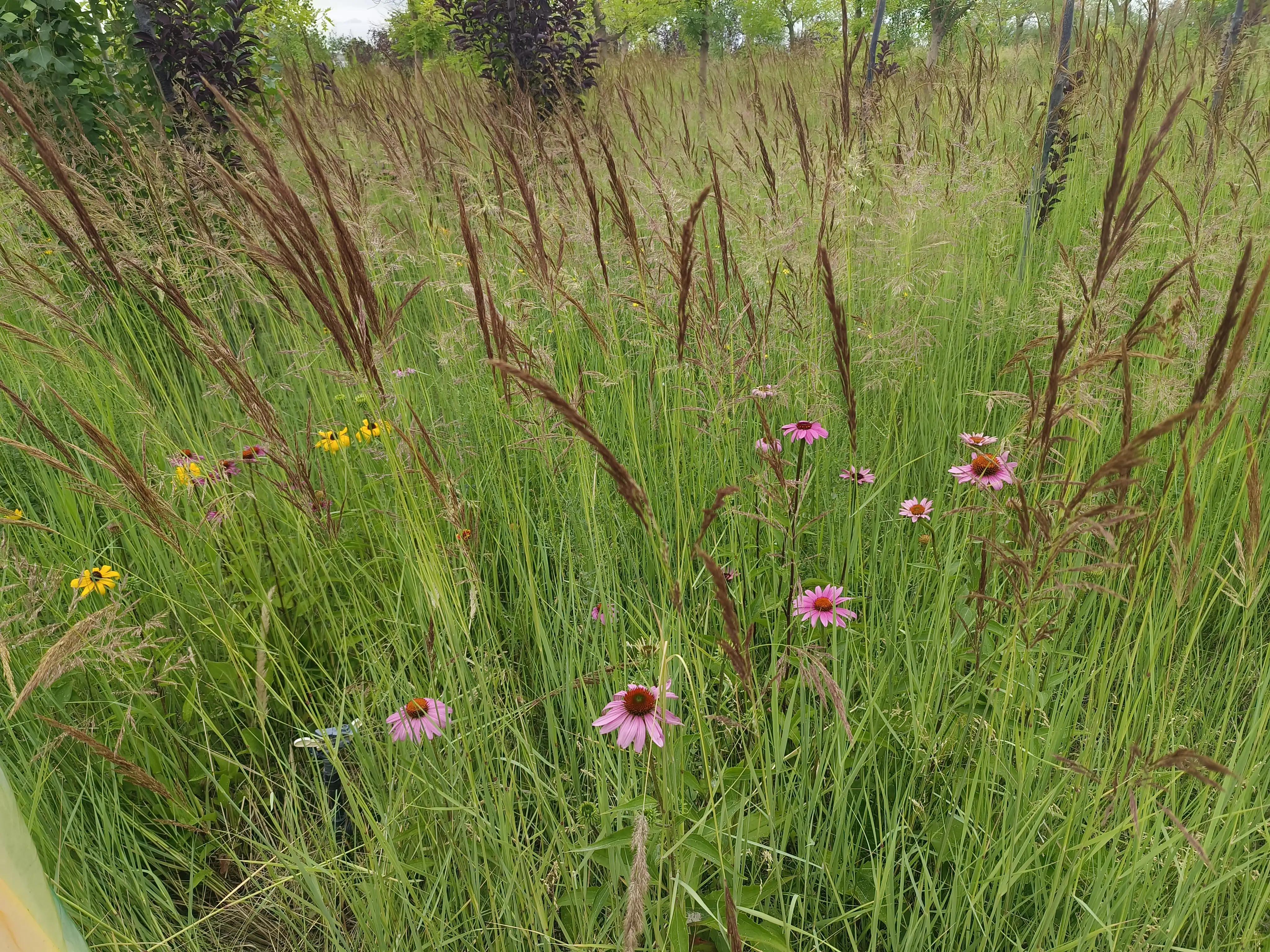 4月份去哪里旅游最好,8月去哪里旅游最好