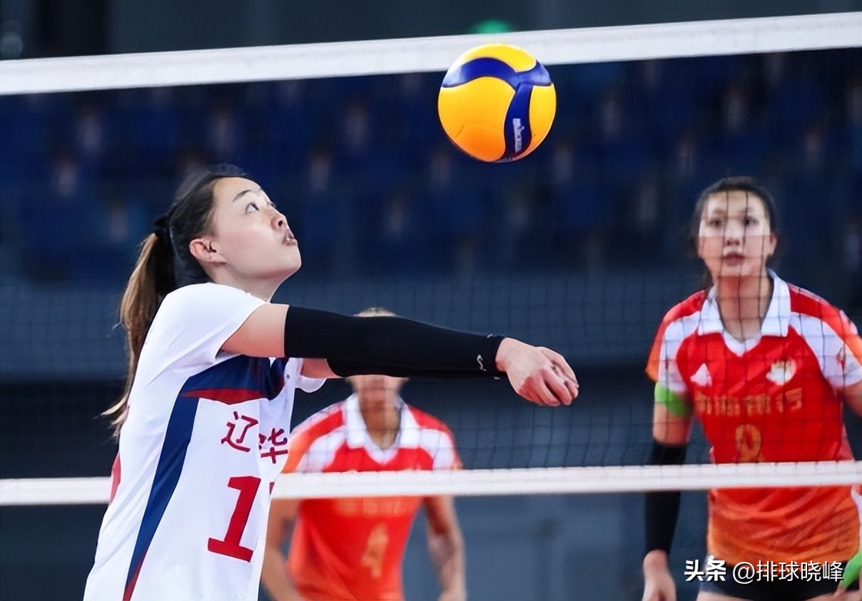 此路无知己明珠莫暗投全诗,此路无知己明珠莫暗投的出处