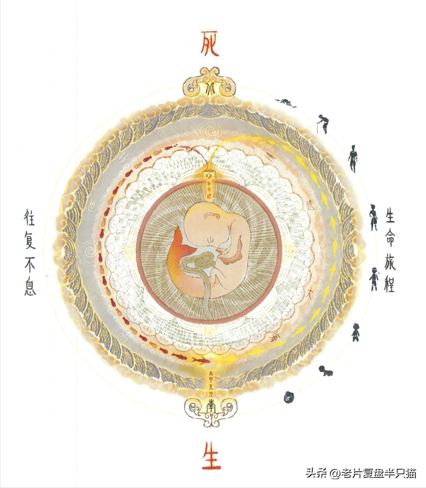 中国国漫大鱼海棠最后独白,大鱼海棠算是国漫中的经典