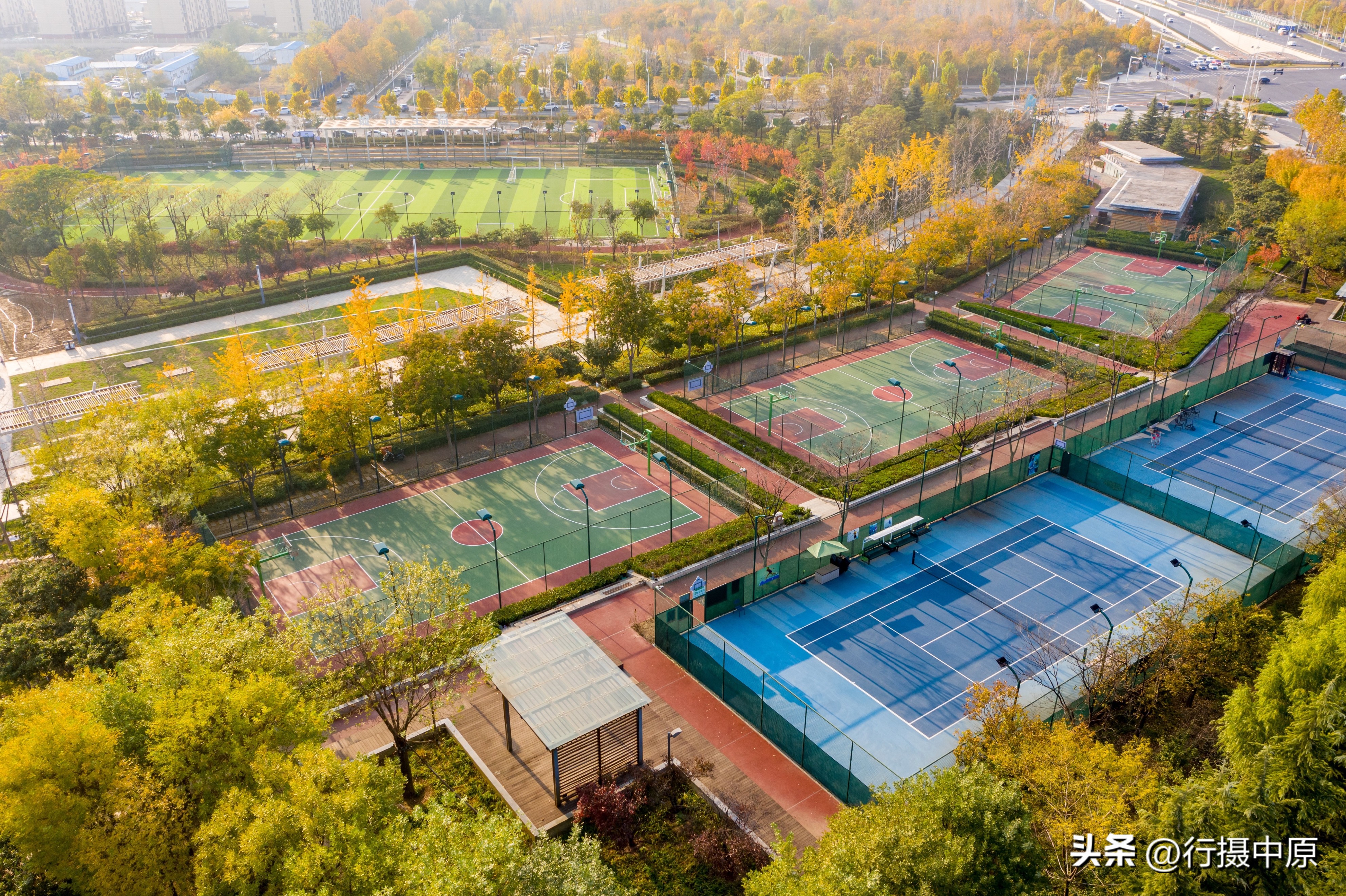 郑州这片“藏”在五彩植被之间的球场,“运动迷”值得打卡