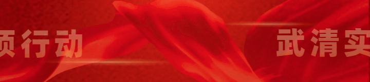 镇街部门一把手,武清区各区镇一把手