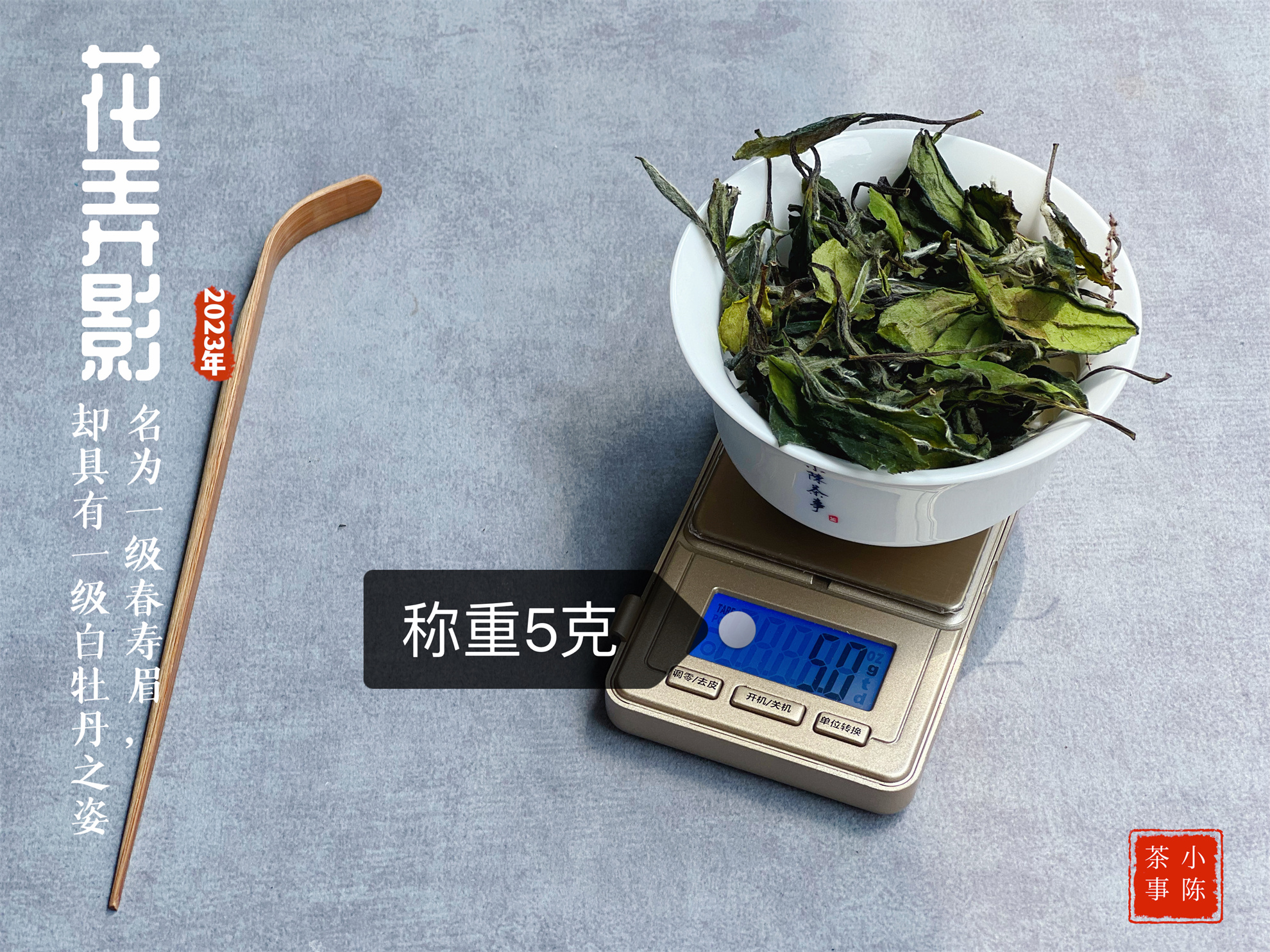 1斤白茶要多少斤青茶,一斤白茶需多少茶青