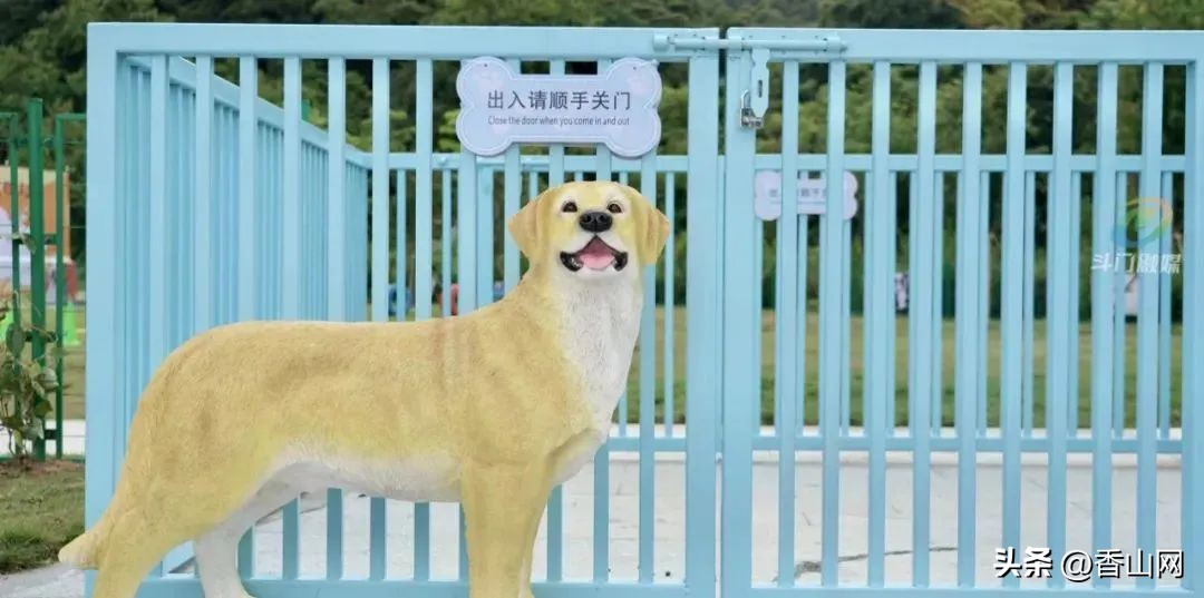 珠海遛狗有市场吗,珠海有哪些地方可以遛狗啊