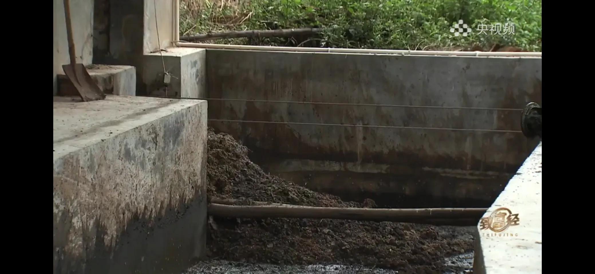 10万多只鸡养鸡场一年能挣多少,回村搞农业养殖一只鸡卖一万