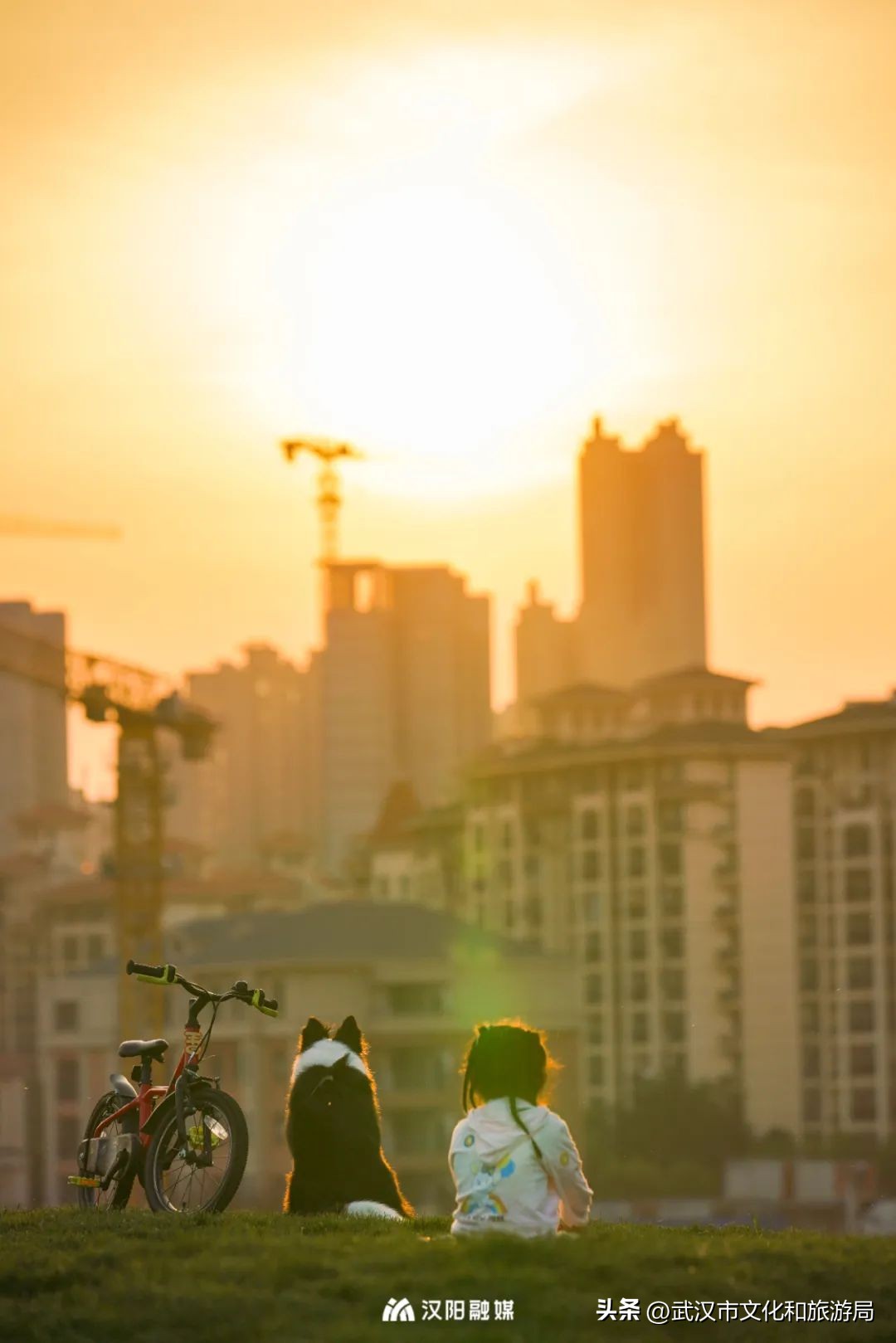 人均绿地面积第一,汉阳人人有份