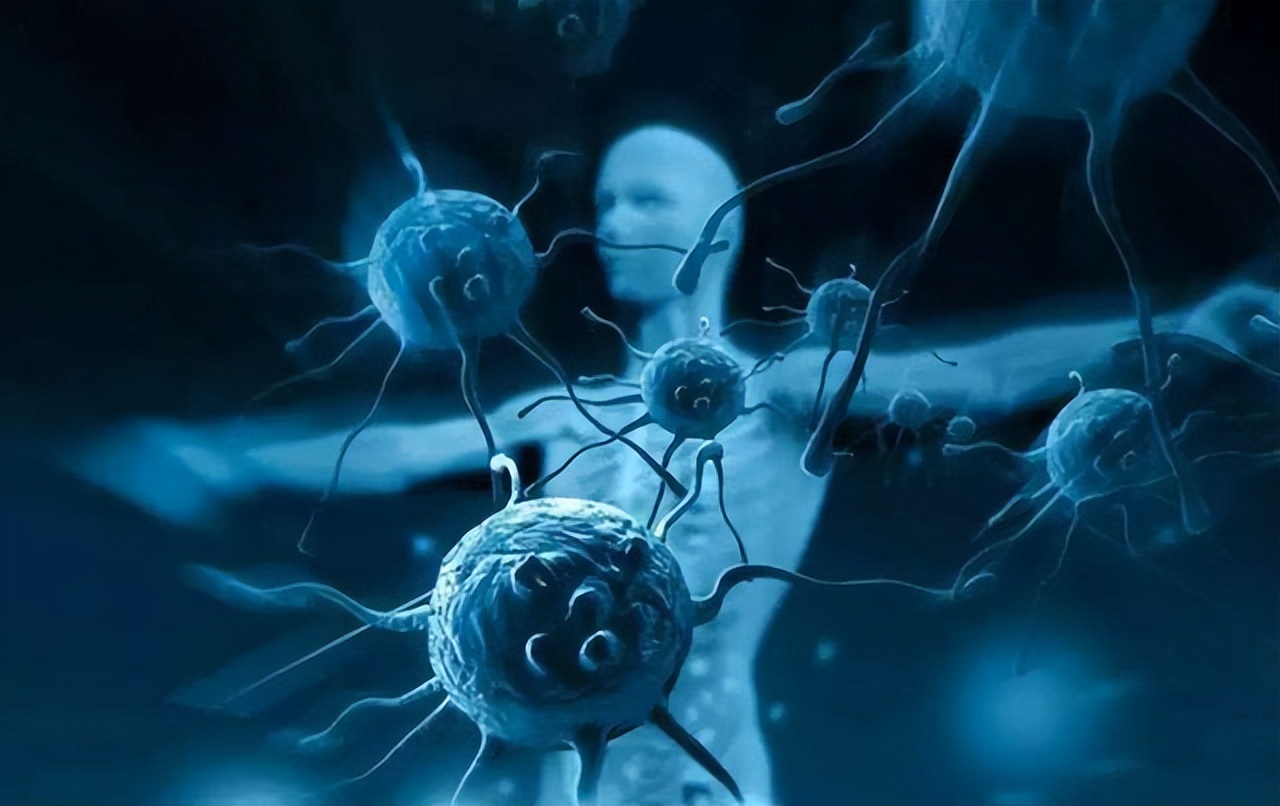 断食2天重启免疫系统,断食多久免疫系统重启