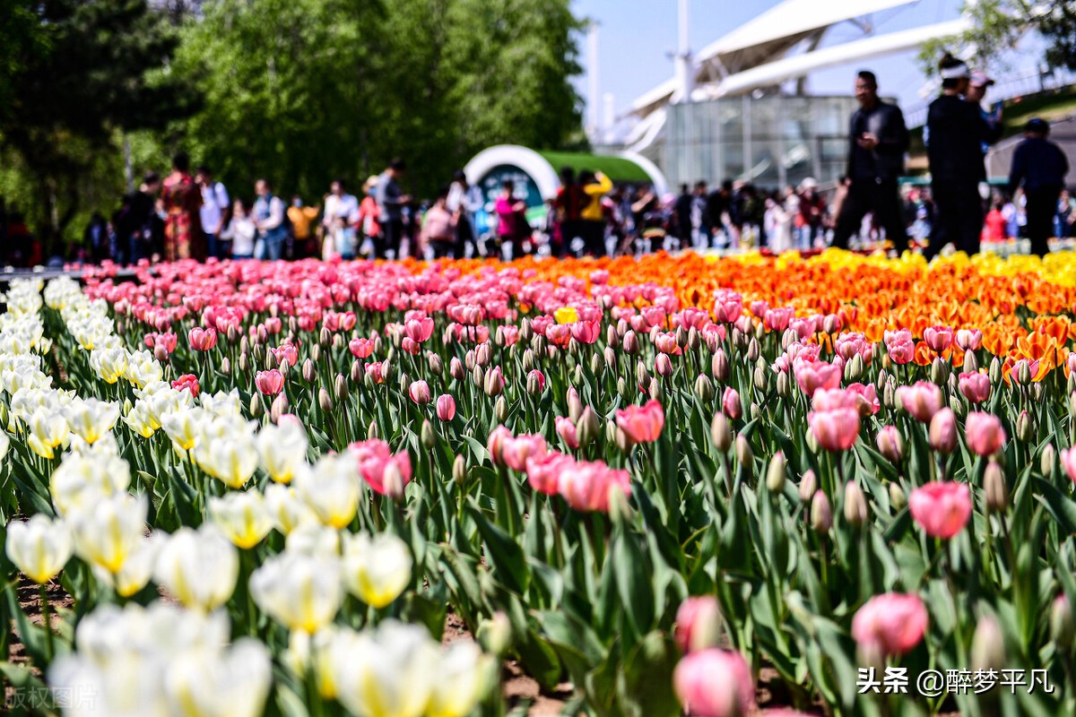 沈阳植物园沈阳世博园,沈阳世博园和植物园区别