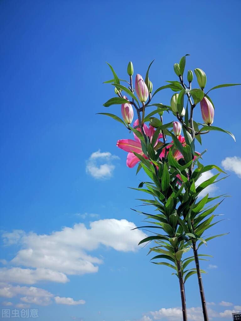 变美的50条习惯,分享40个变美的小细节