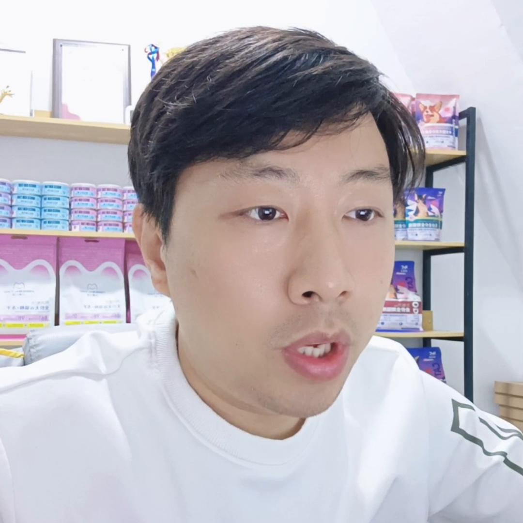 宠物店宠物美容,去学宠物美容要什么学历