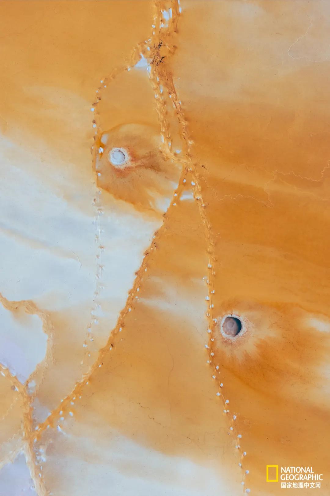 国家地理中文网英文,国家地理中文网在哪里