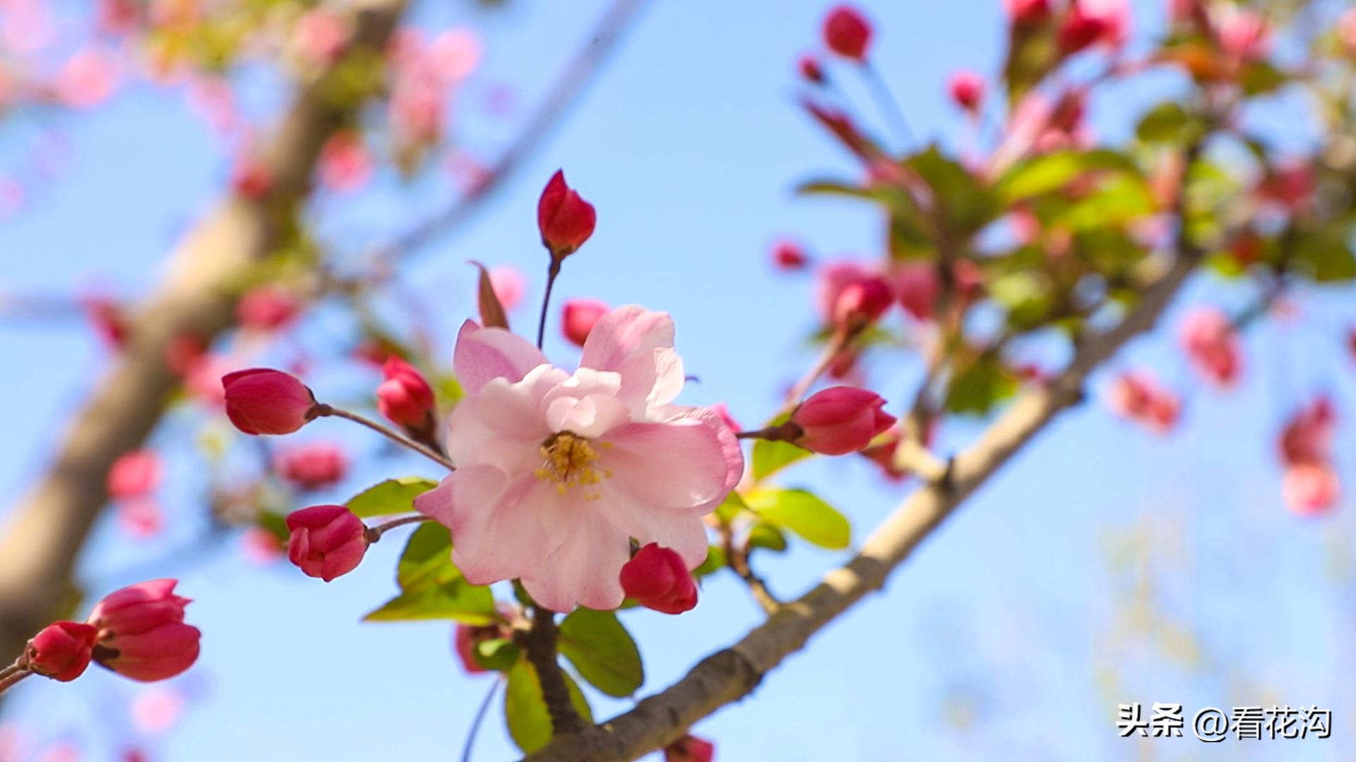 西平县107现在建的啥,1986河南驻马店西平