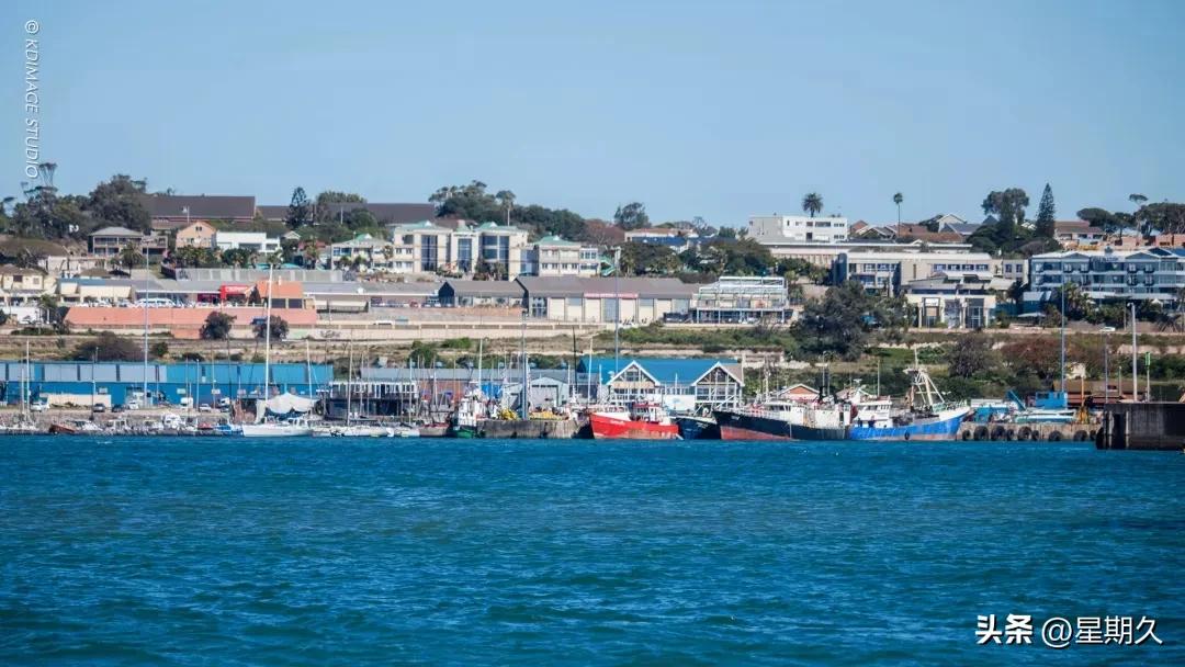 华人在南非娶老婆,南非华人男性和南非白人结婚