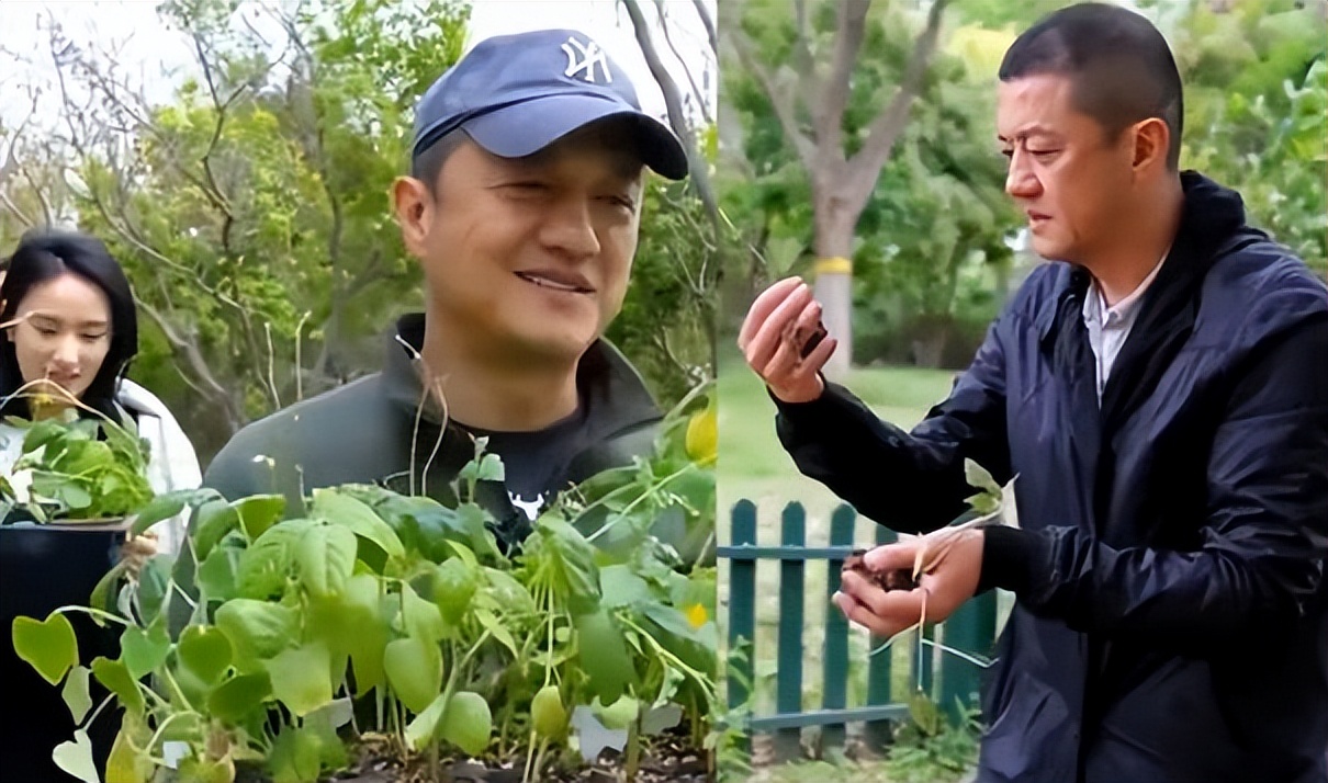 李亚鹏和瞿颖什么关系,李亚鹏爆出与王菲婚姻内幕