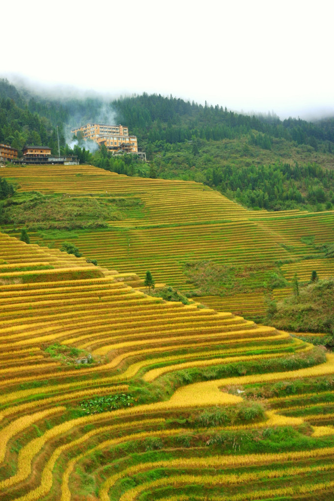 广西梯田龙脊梯田,龙脊梯田世界一绝美不胜收