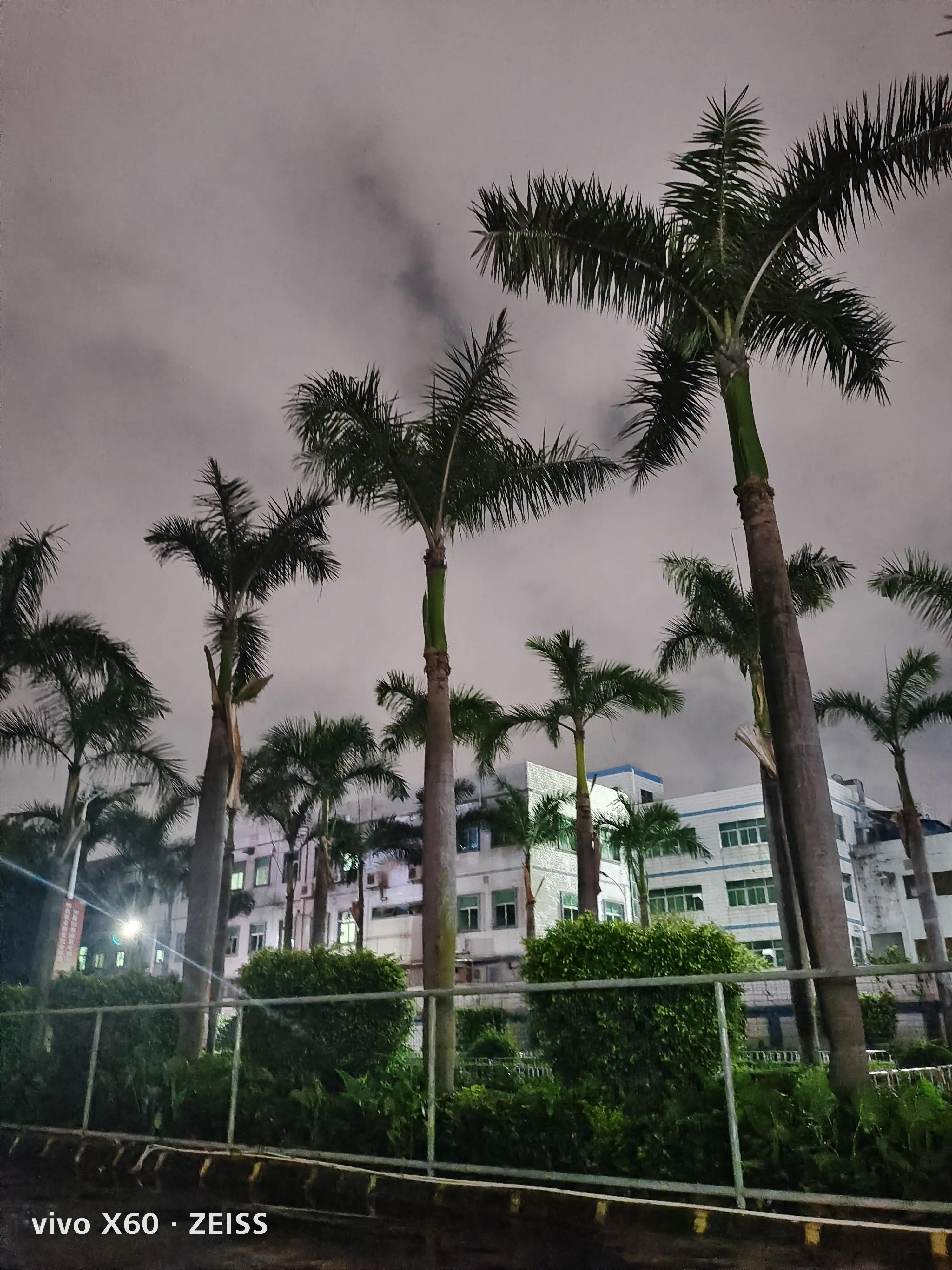 塘厦城中城,塘厦新中心城