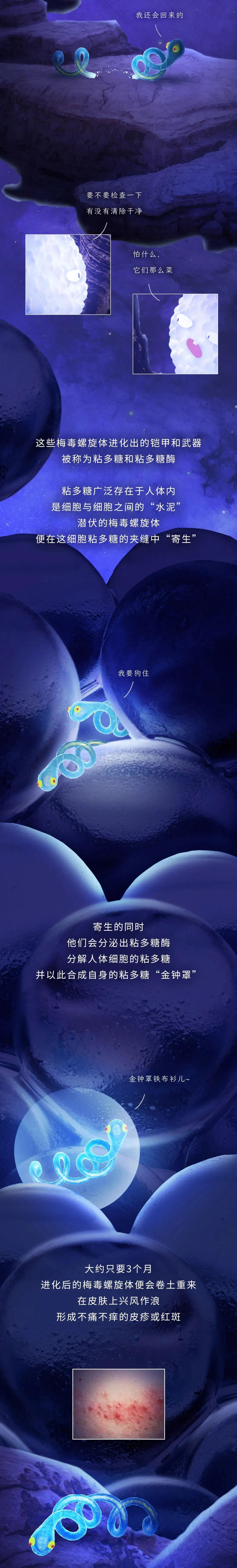 梅毒是由什么感染引起的,梅毒一旦感染终身携带吗