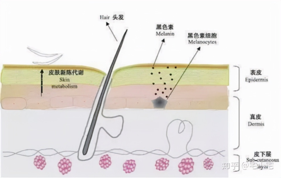 中药祛斑美白养颜精华套装第3代,美白淡斑祛斑精华真实测评