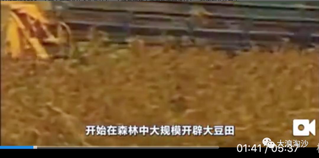 丁香园靠谱吗,丁香公园恐怖事件