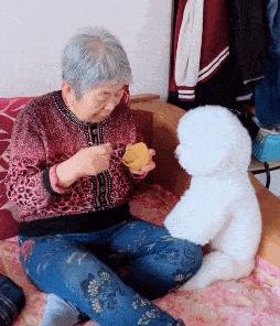 没救了，我家傻狗以为是我“亲生”的