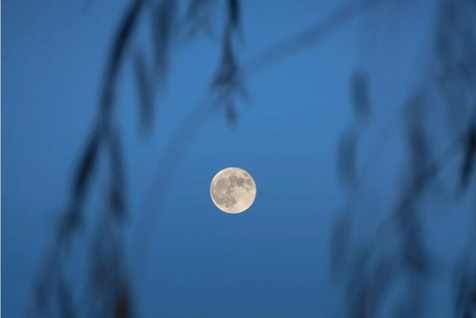 杜甫最惊艳的诗句,杜甫人生十大经典诗句