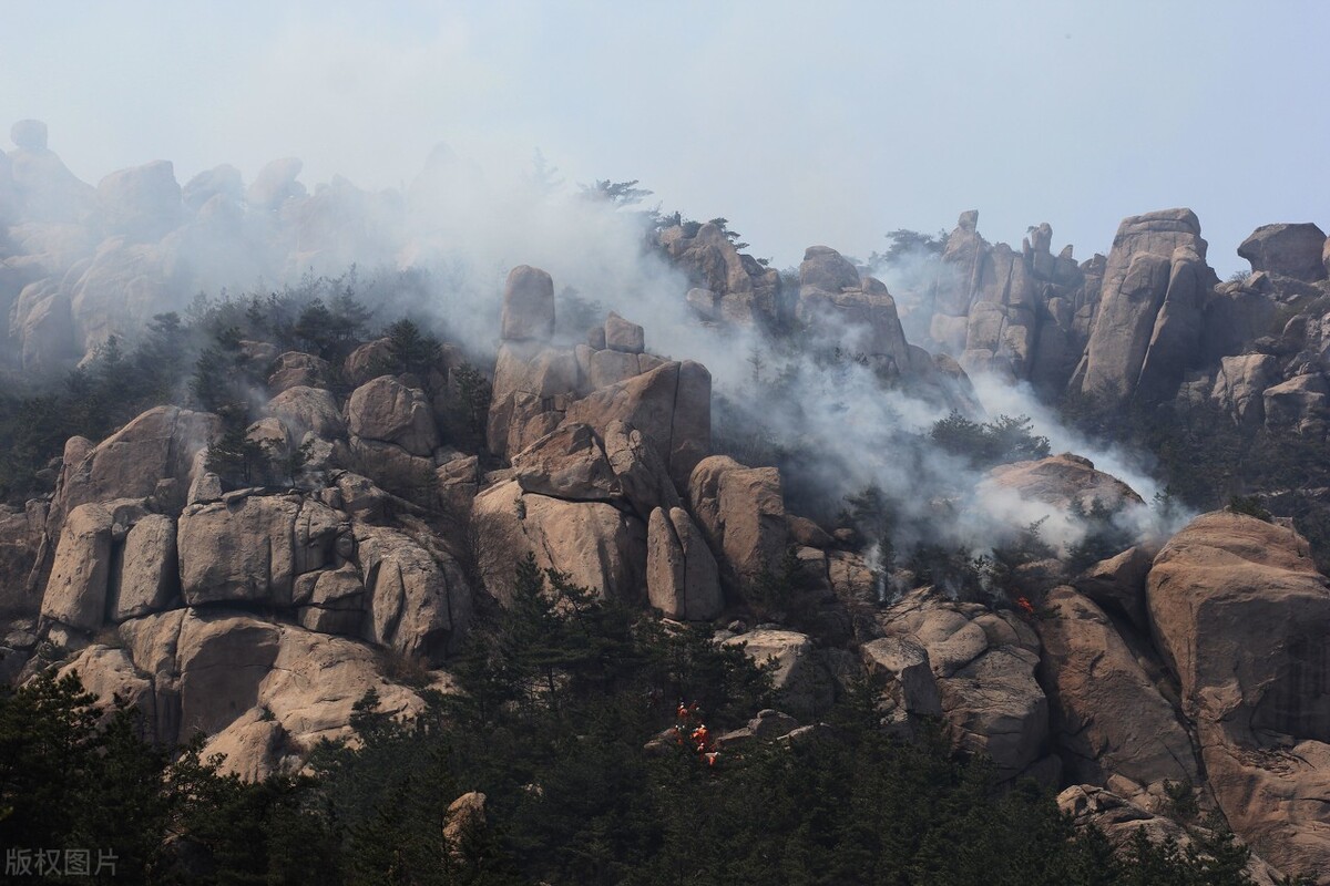 山东济南和青岛哪个更厉害,平阴和商河各方面对比