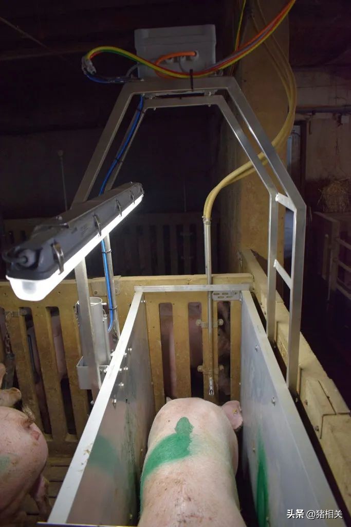 汉诺威畜牧展,畜牧科技展