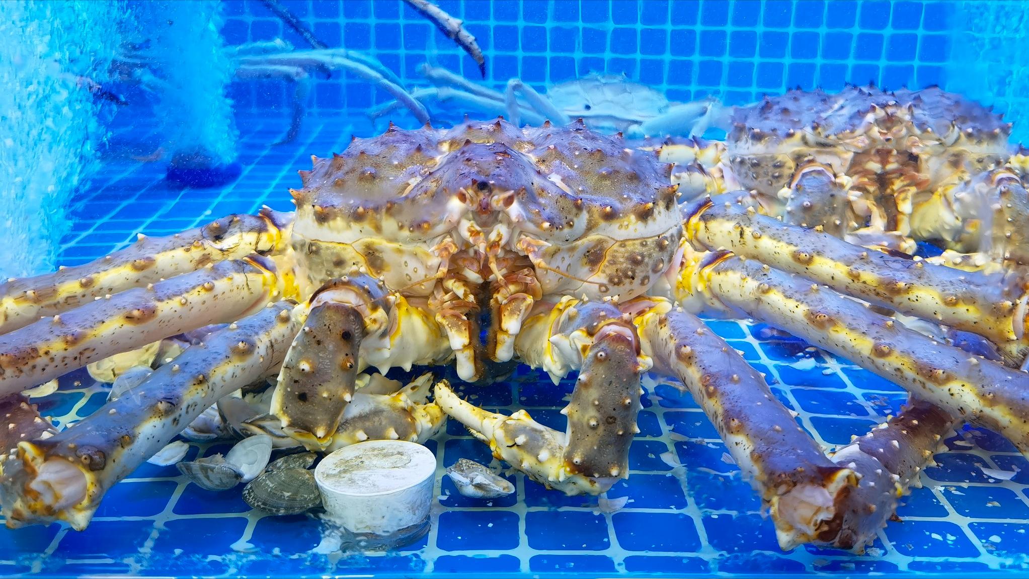 泊来鲜加盟靠谱吗,连锁鲜活海鲜品牌加盟