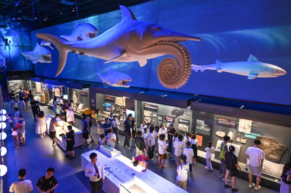 乱象丛生校外培训谨防入坑,乱象丛生培训机构