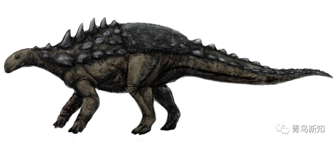 恐龙主题的铠甲可穿戴,恐龙战士怎么变身