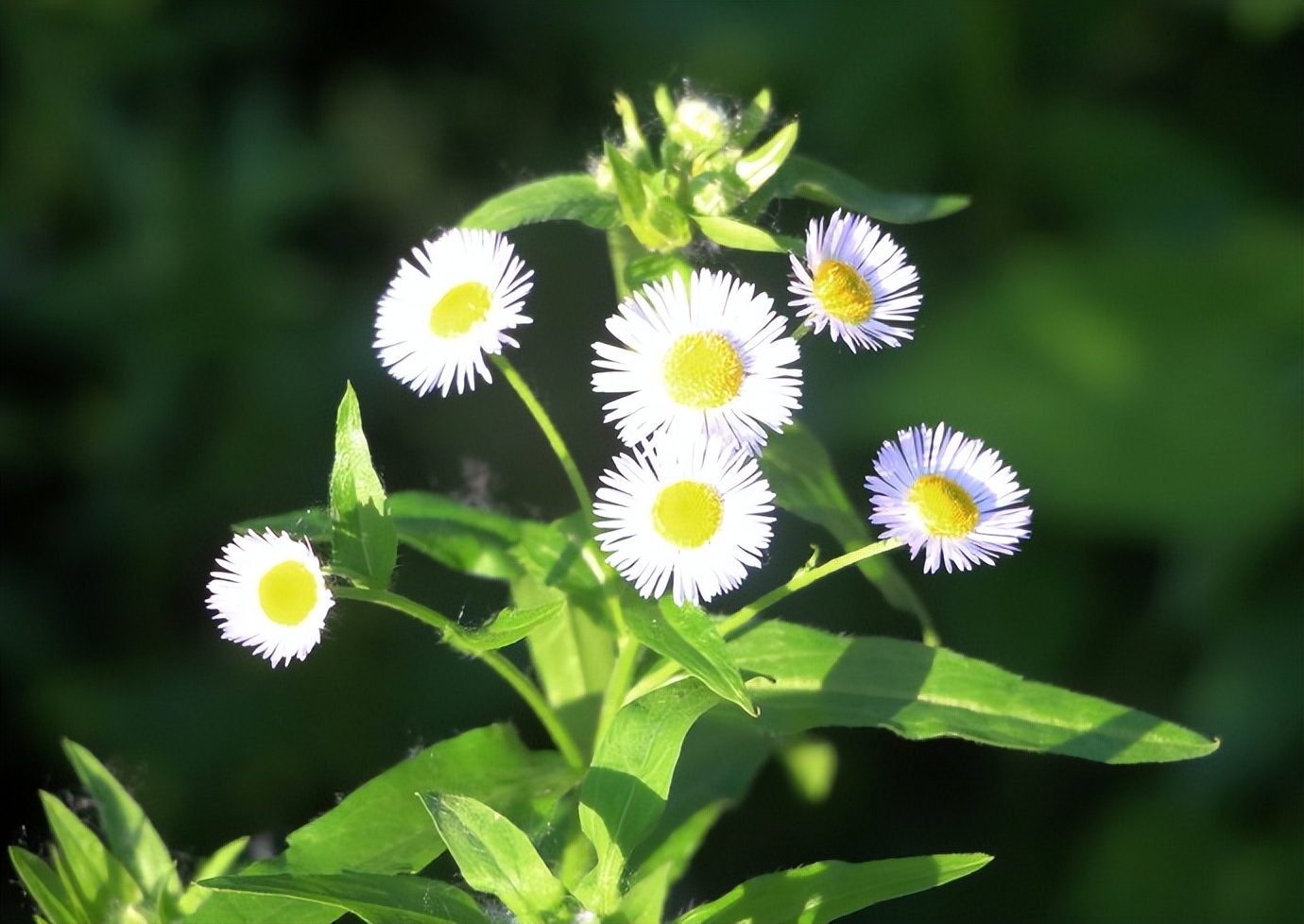 体检·小酌·途中·公园·侄女·其它