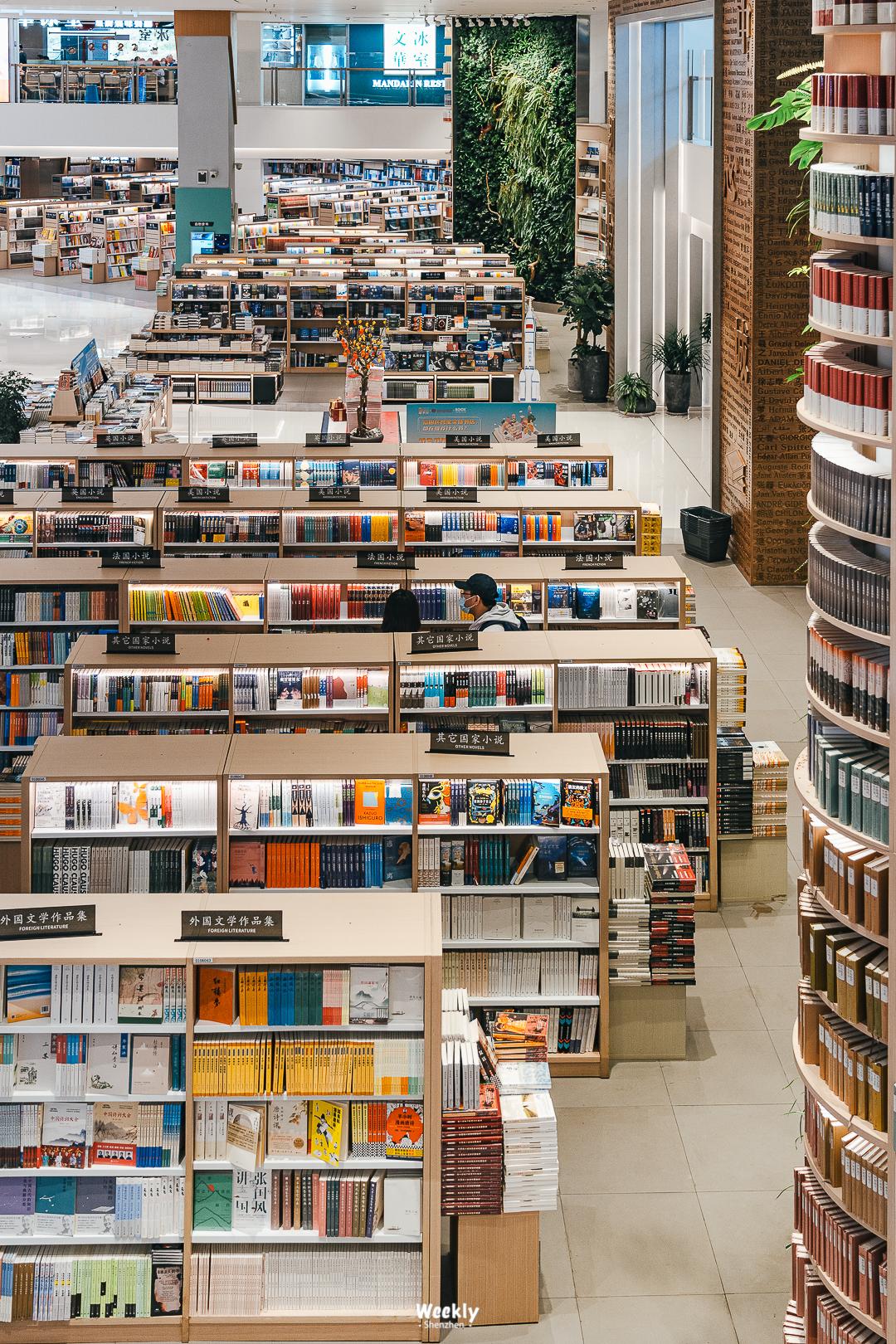 好好走过红荔路，才知道住福田有多让人羡慕