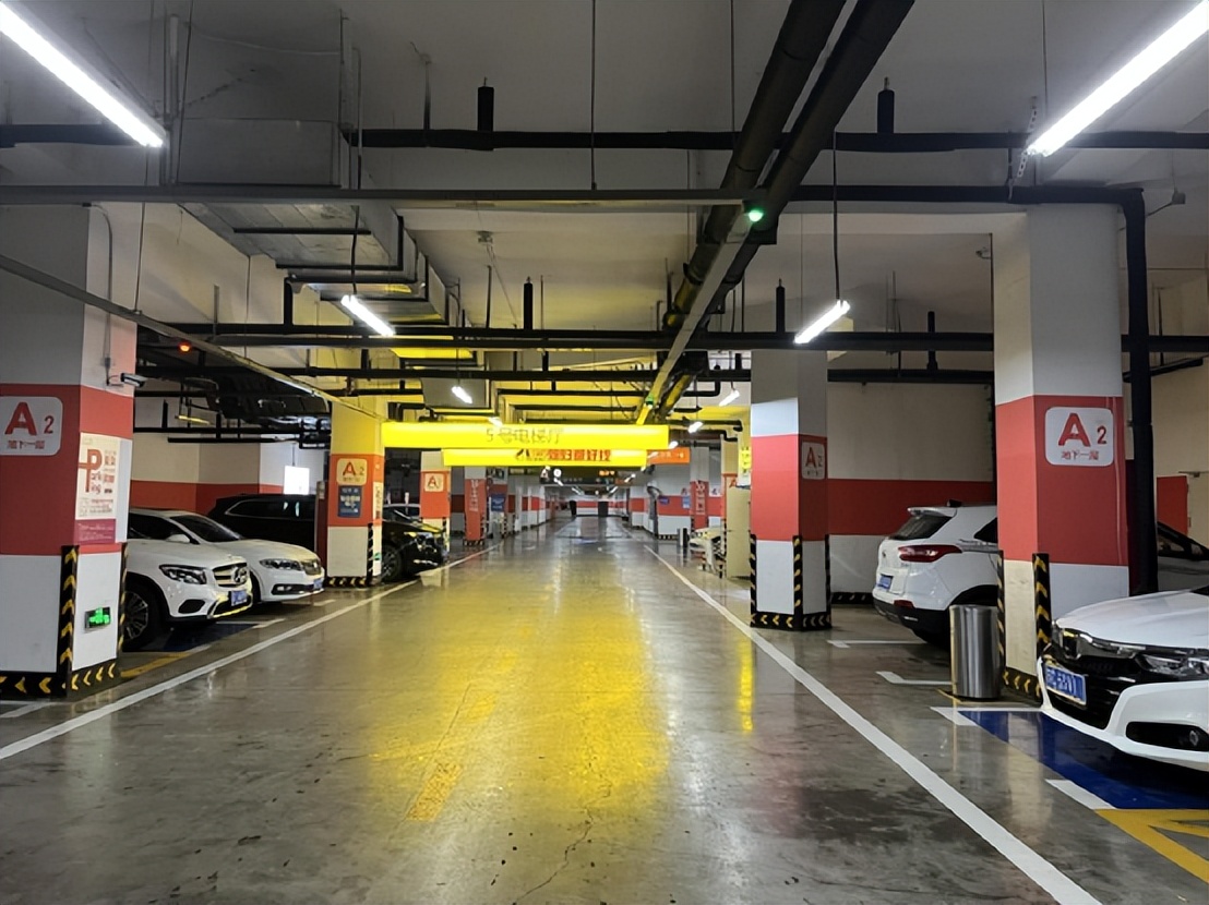 濂ョ壒鑾辨柉寰愬窞璐炬豹,璐炬豹鍚炬偊绻佸崕鐜扮姸