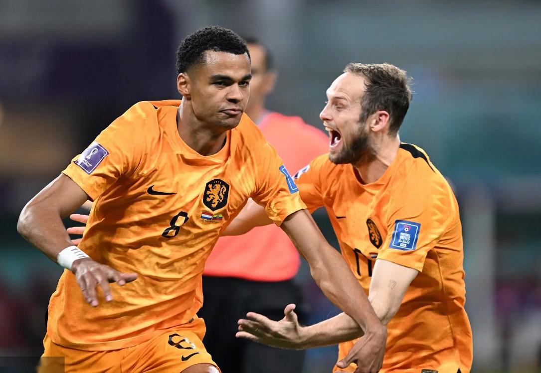 世界杯2场2球，多家豪门求购，23岁新星能成为荷兰锋线新希望？